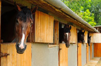 free Tismans Common stable construction quotes